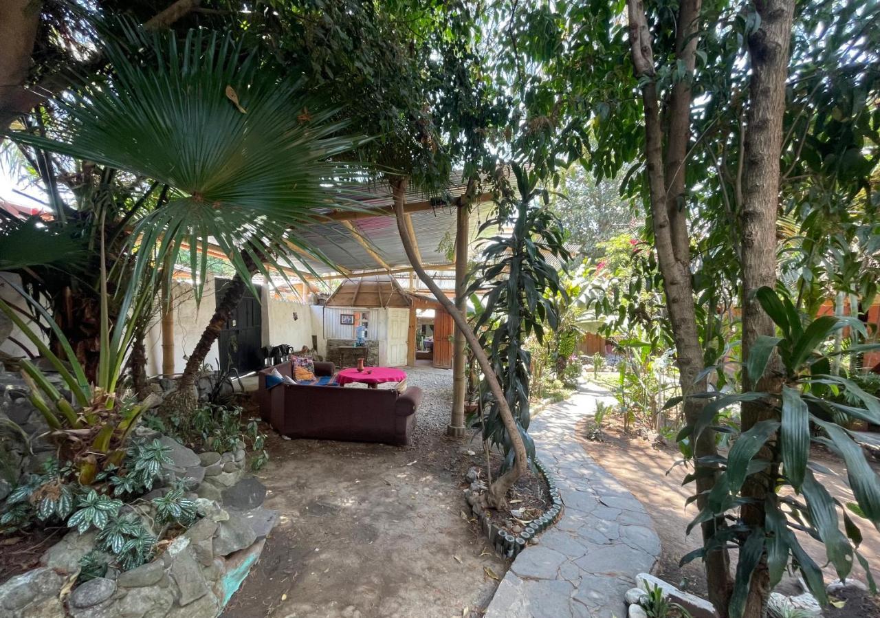 Mayan Casas Тікаль Екстер'єр фото